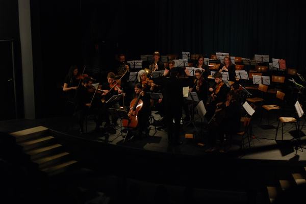Melomania, Haydn & Elgar