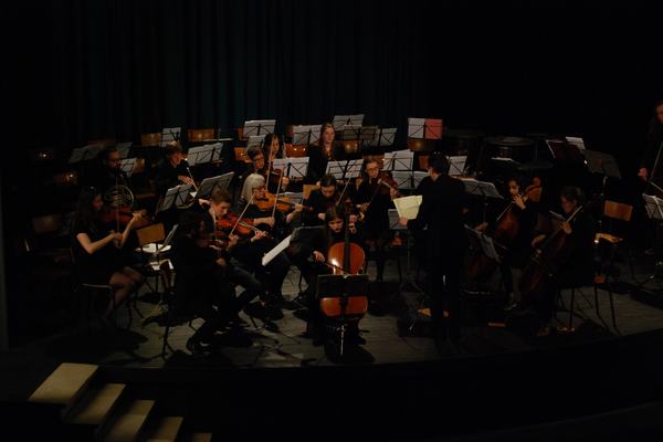 Melomania, Haydn & Elgar