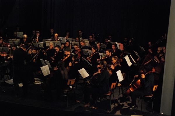 Melomania, Haydn & Elgar