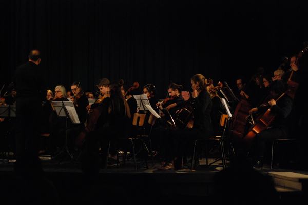 Melomania, Haydn & Elgar